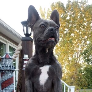 Meet your Posher, Vina